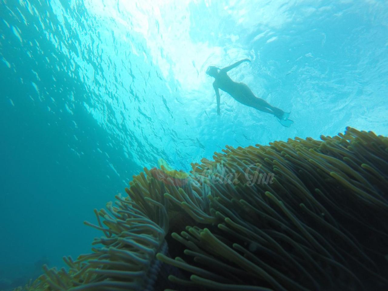 Rasdhoo Relax Inn Bagian luar foto